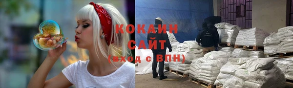 ECSTASY Алзамай
