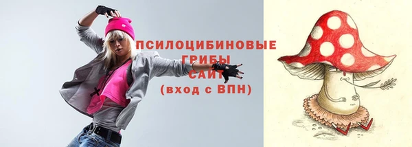 ECSTASY Алзамай